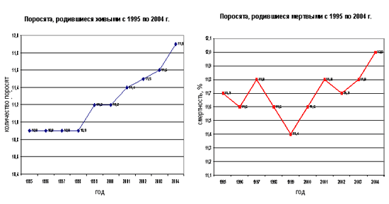 Рождение поросят
