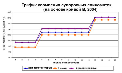 График кормления супоросных свиноматок